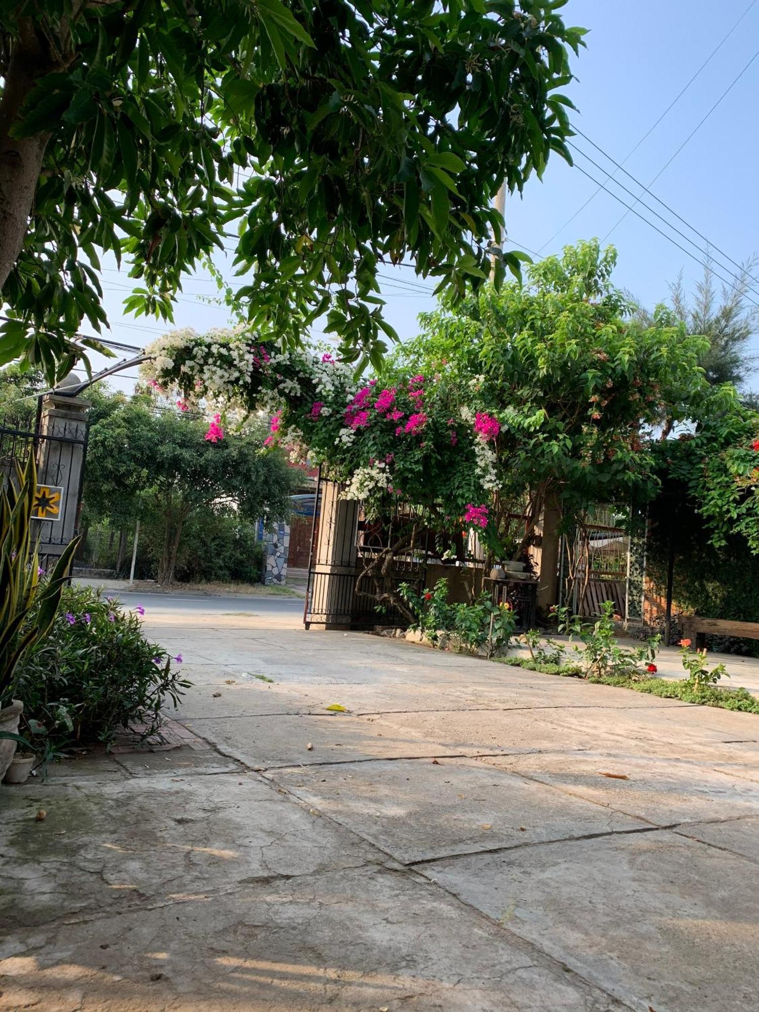 Yellow Farm Homestay Dong Tac Dış mekan fotoğraf