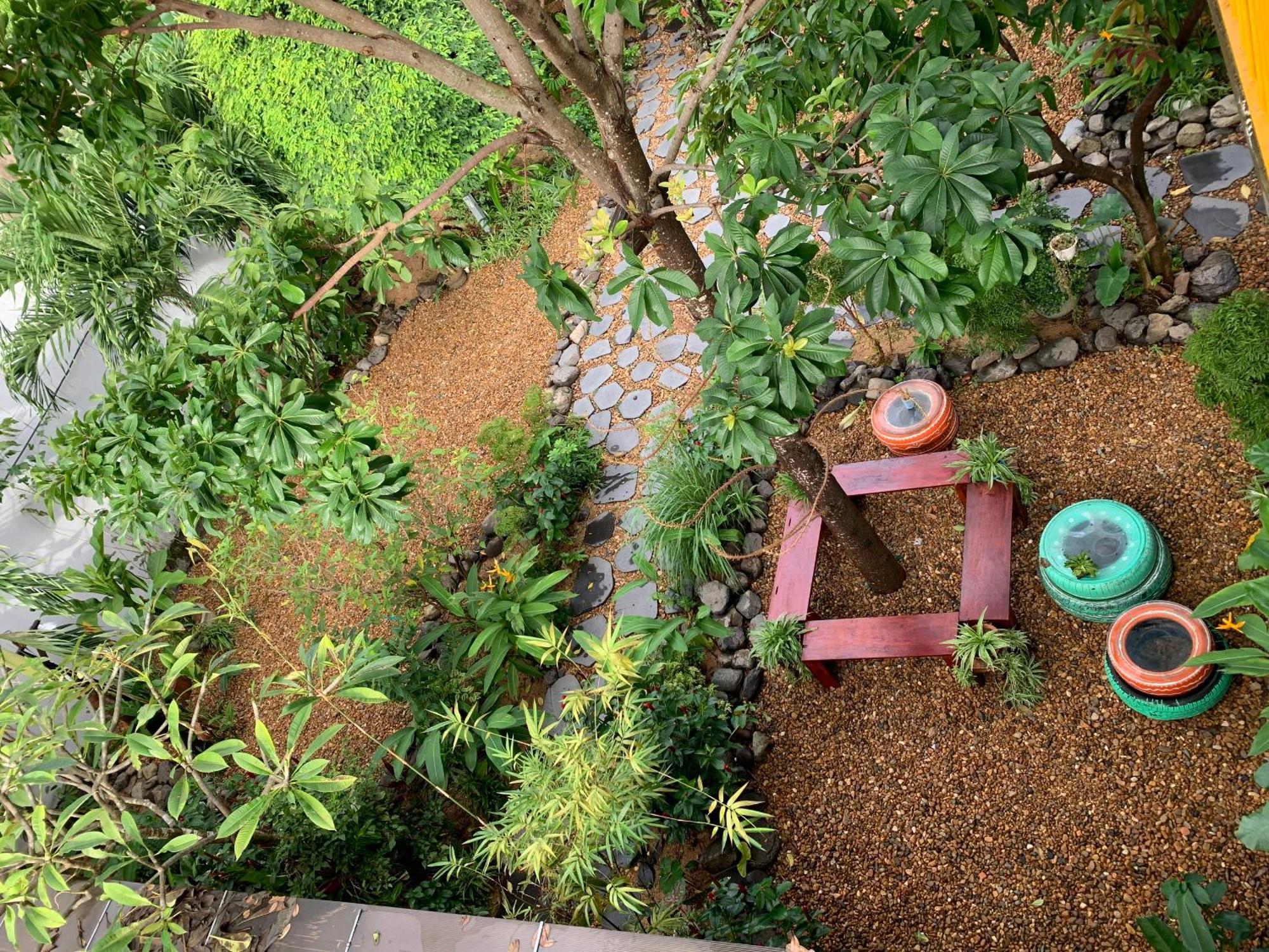 Yellow Farm Homestay Dong Tac Dış mekan fotoğraf