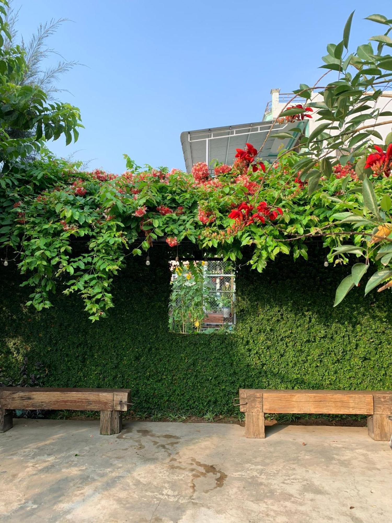 Yellow Farm Homestay Dong Tac Dış mekan fotoğraf