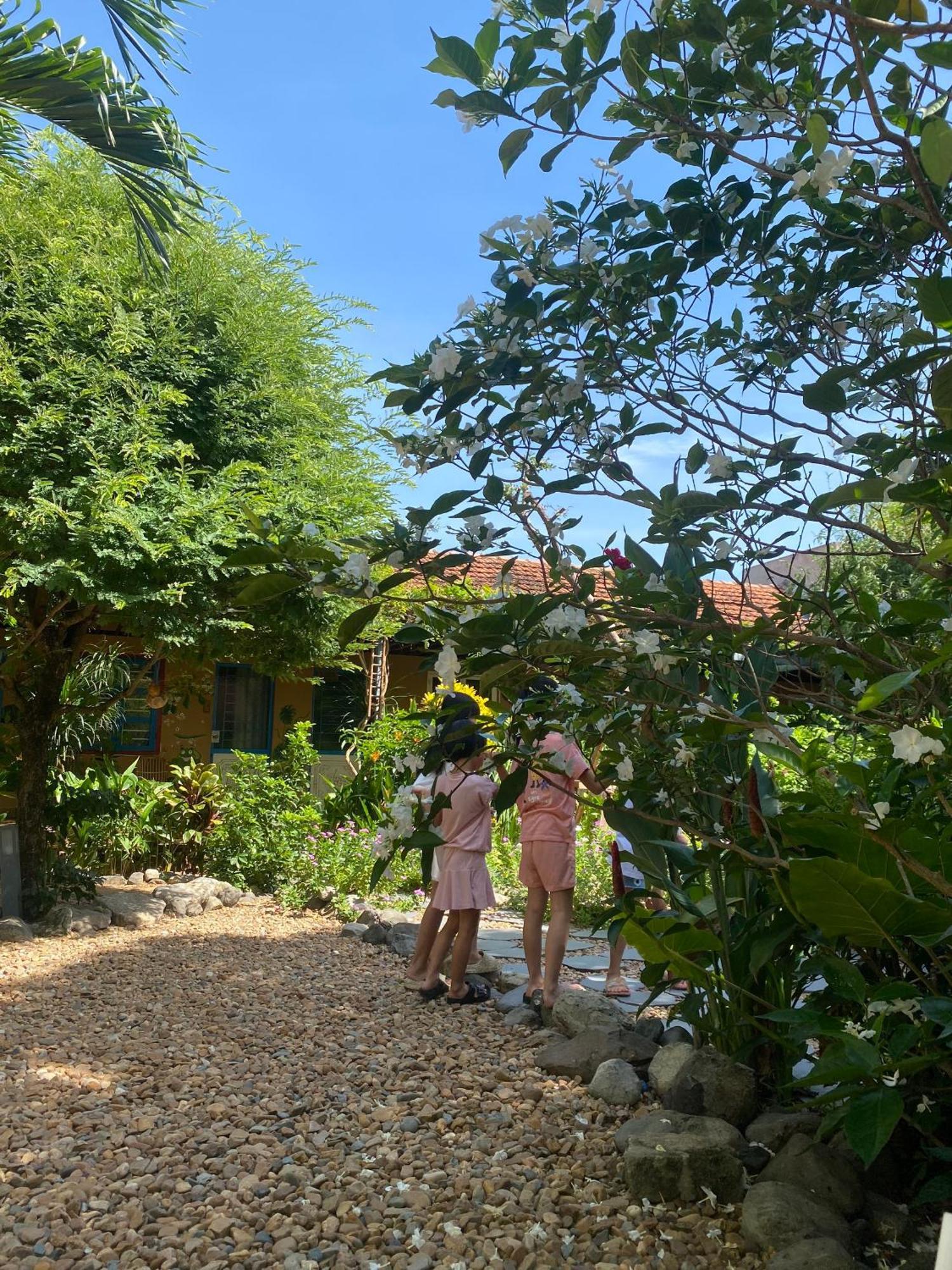 Yellow Farm Homestay Dong Tac Dış mekan fotoğraf