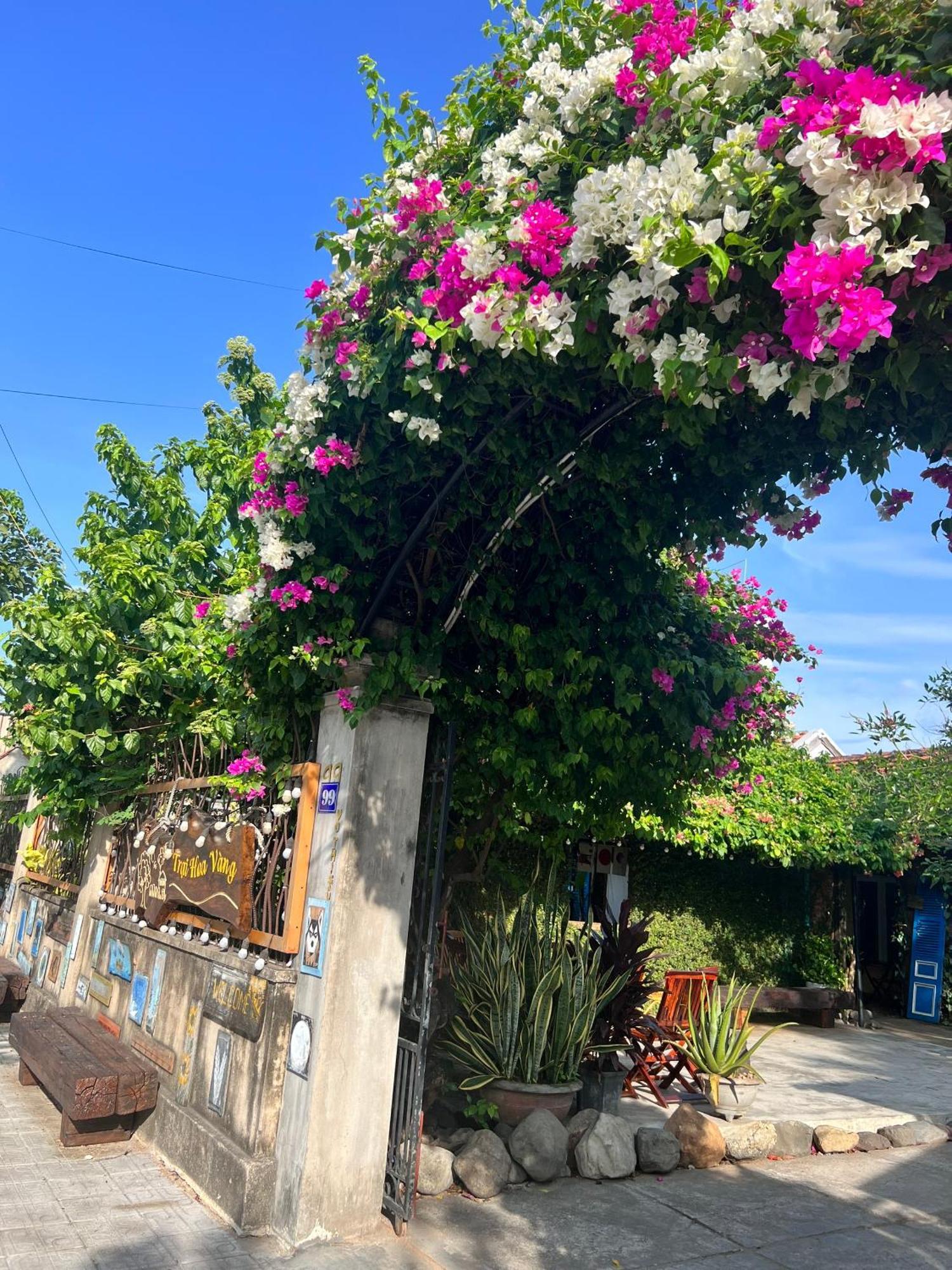 Yellow Farm Homestay Dong Tac Dış mekan fotoğraf