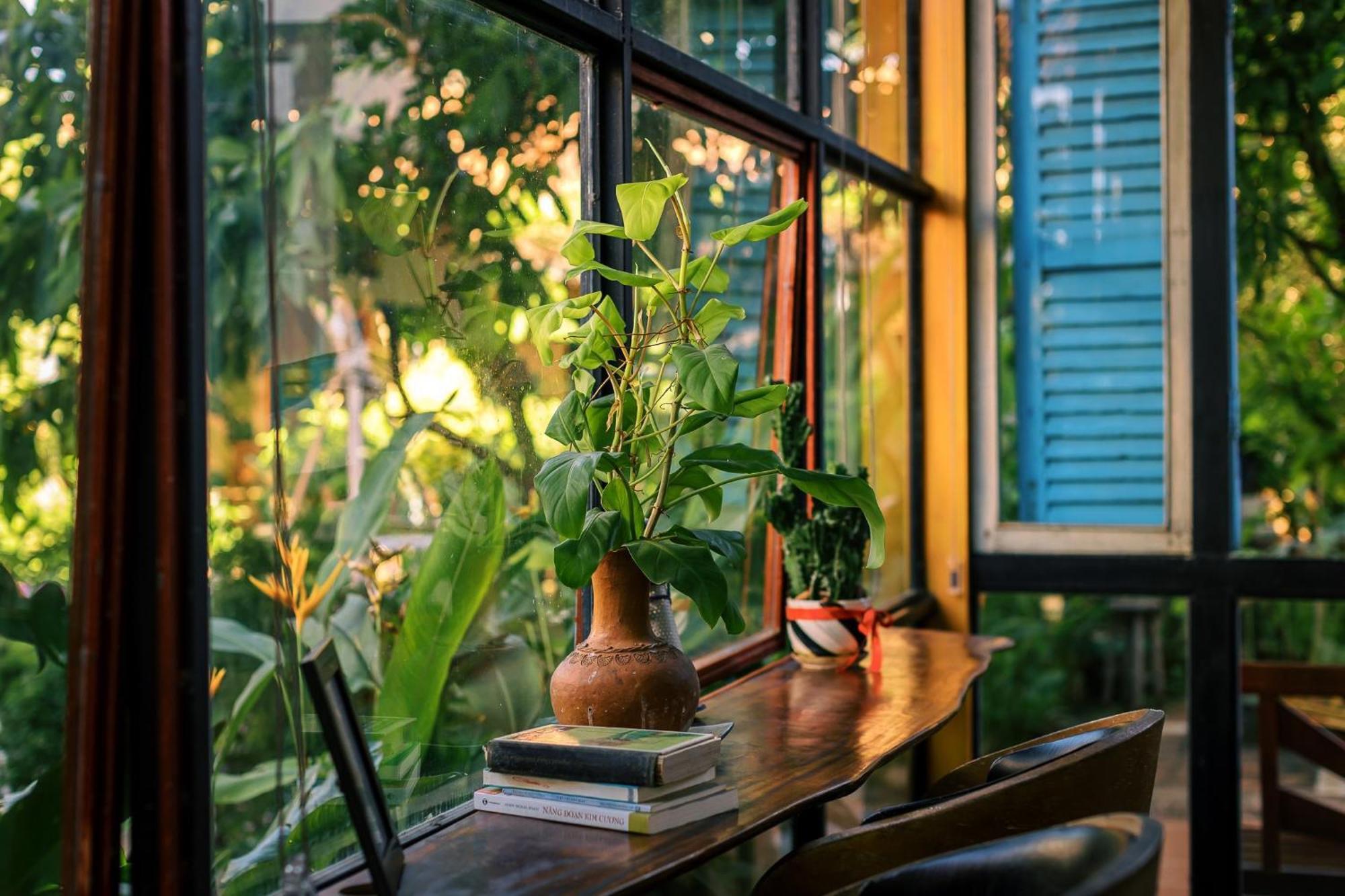 Yellow Farm Homestay Dong Tac Dış mekan fotoğraf