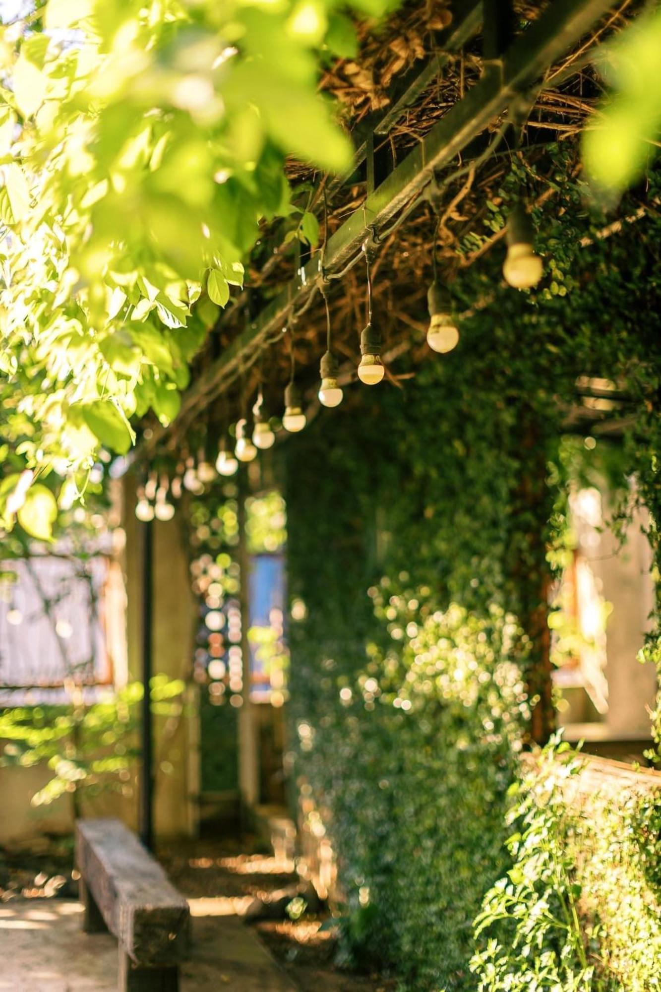 Yellow Farm Homestay Dong Tac Dış mekan fotoğraf