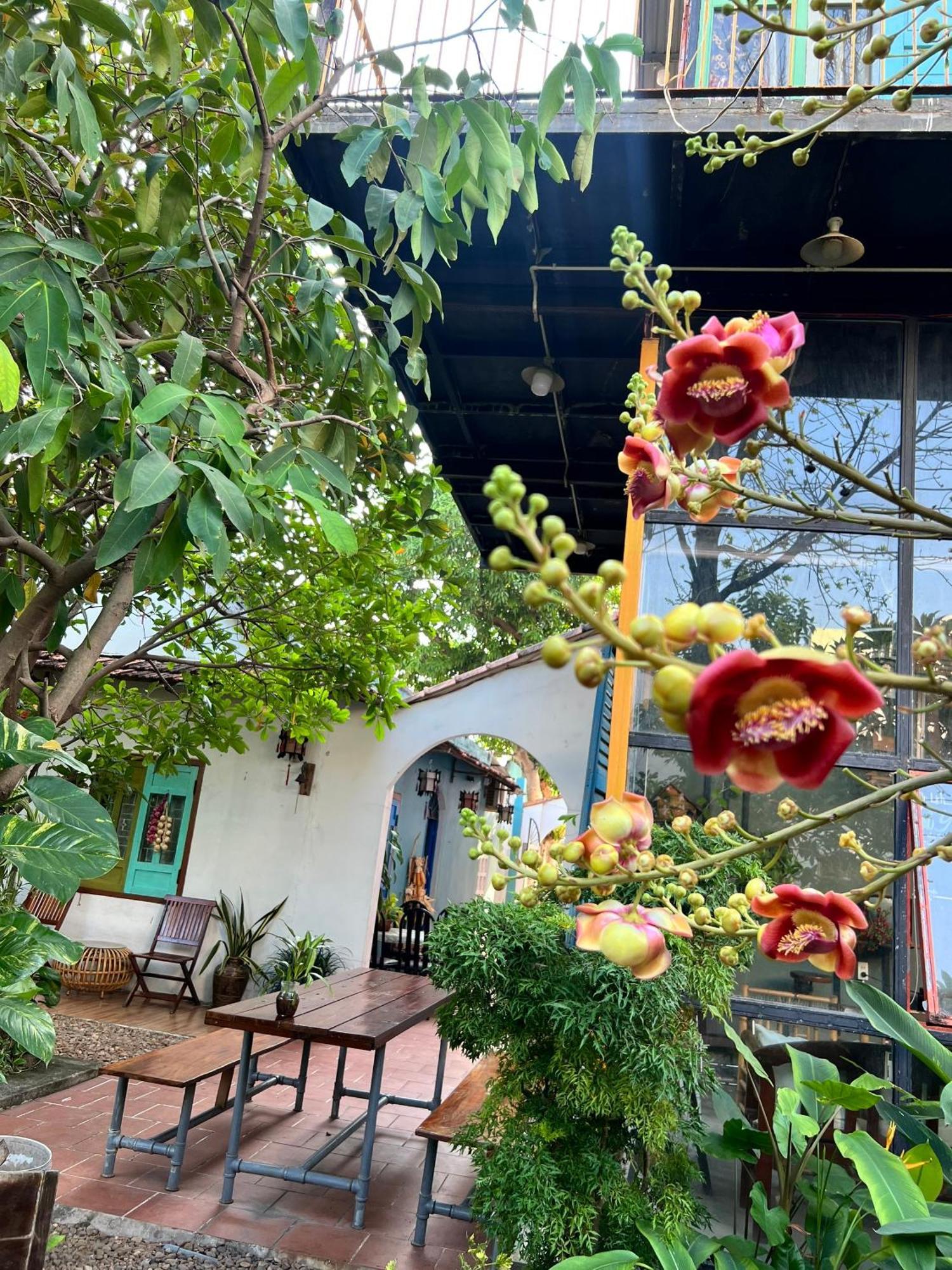 Yellow Farm Homestay Dong Tac Dış mekan fotoğraf