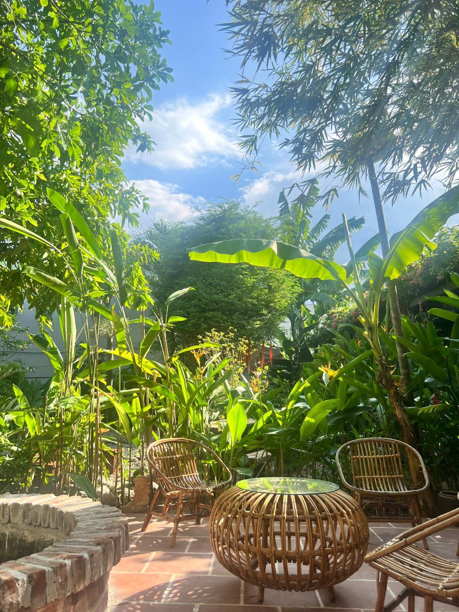Yellow Farm Homestay Dong Tac Dış mekan fotoğraf